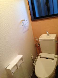 Other. Toilet also had made already