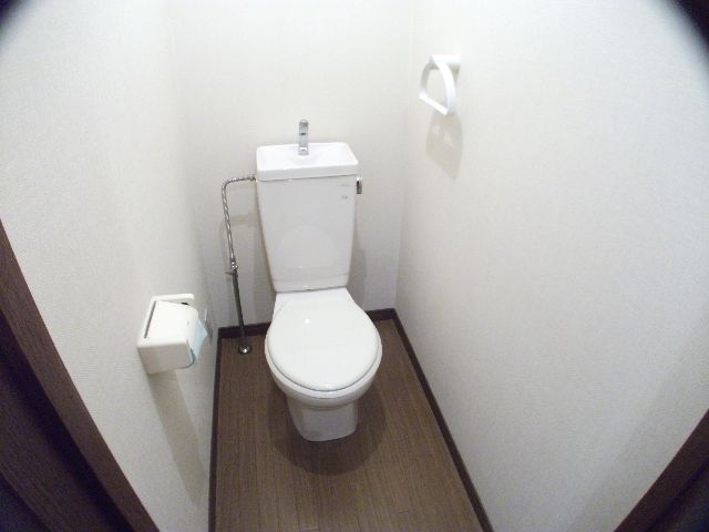 Toilet. Toilet