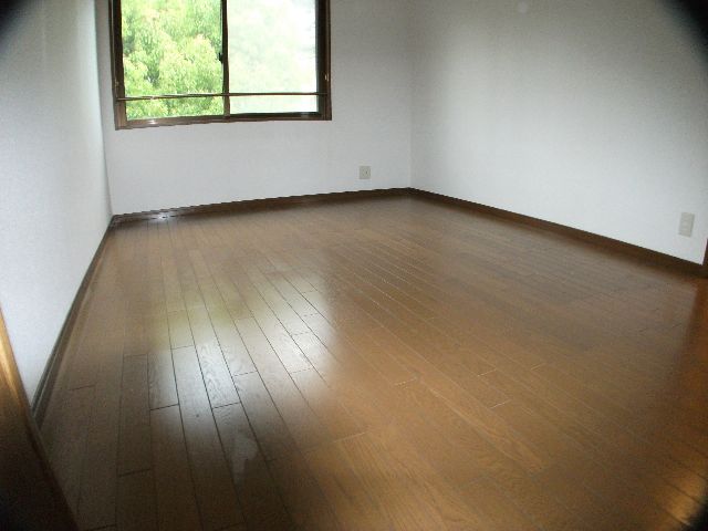 Other room space. Western style room