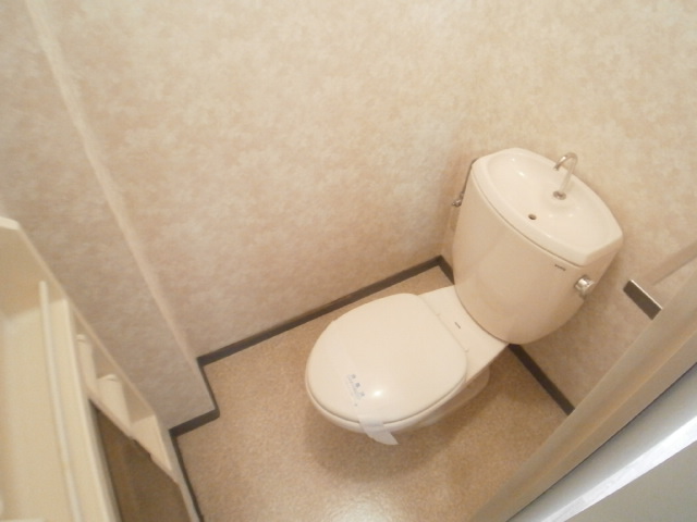 Toilet. Clean toilet