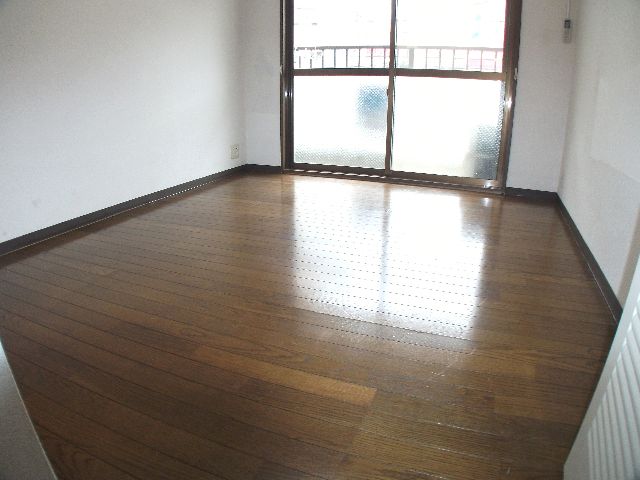 Living and room. South-facing the bright Western-style!