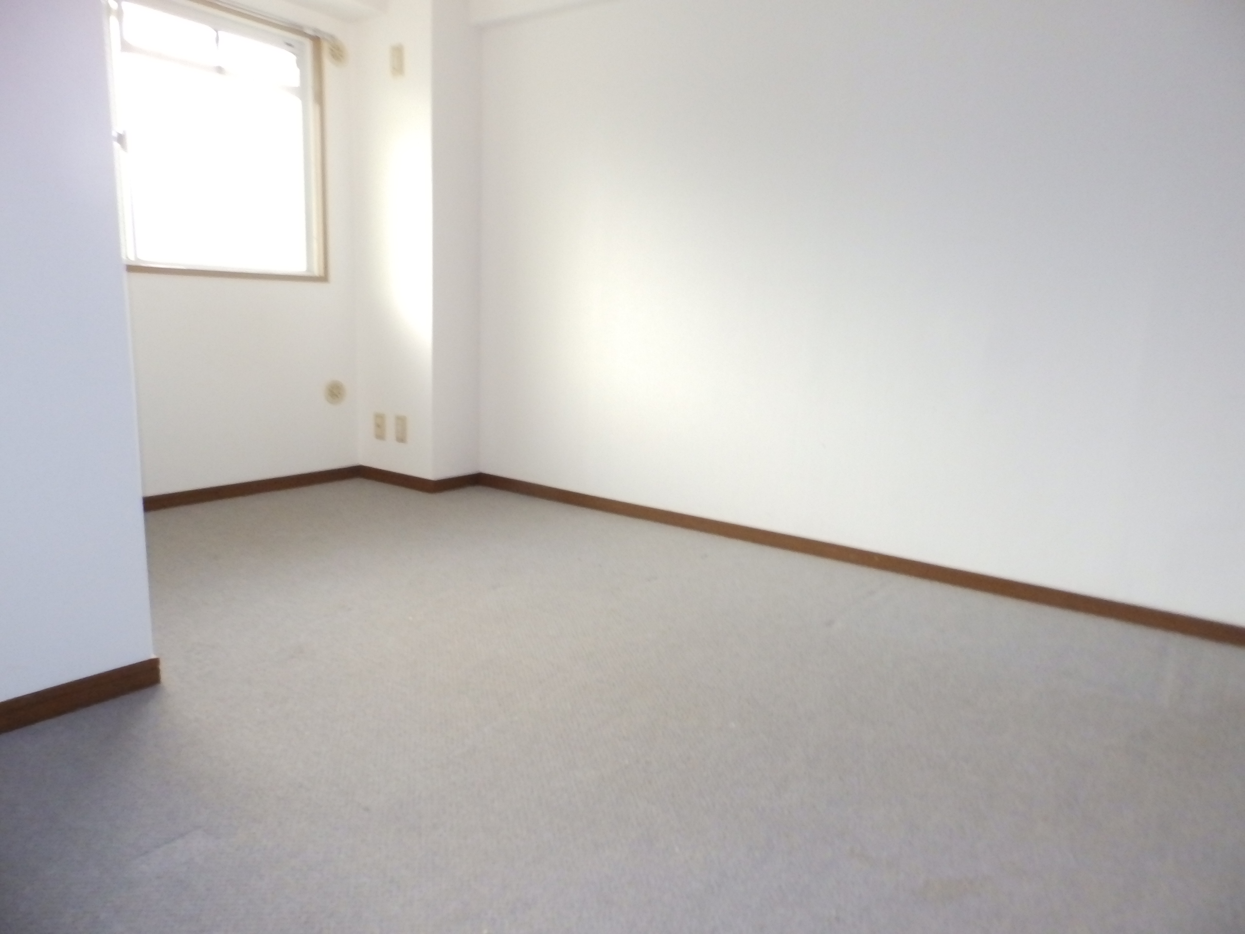 Living and room. Interior