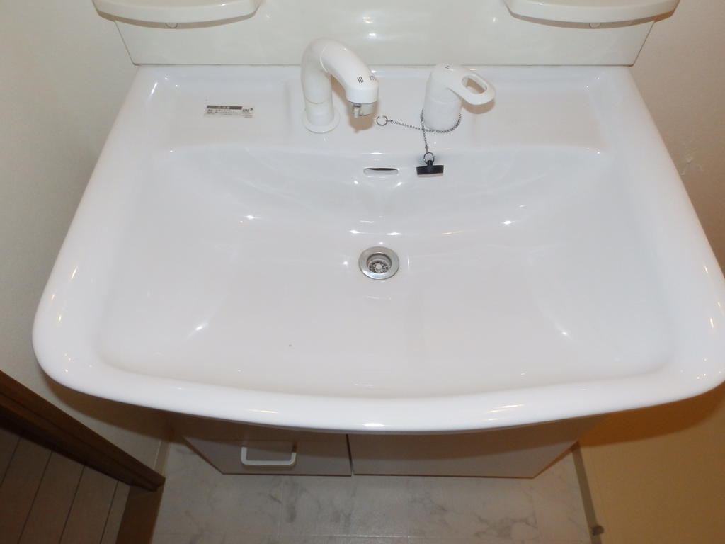 Washroom. Shampoo dresser