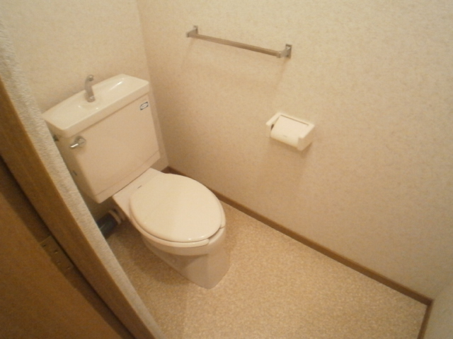 Toilet. Clean toilet