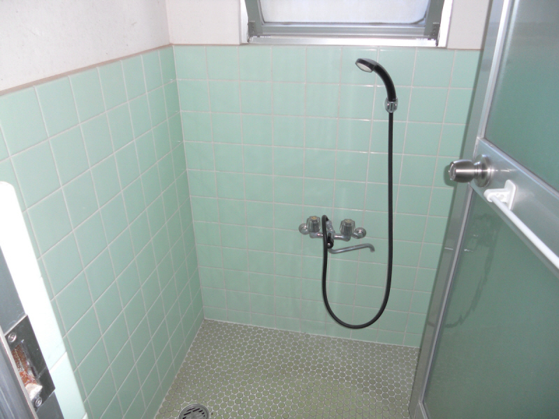 Bath. Shower room