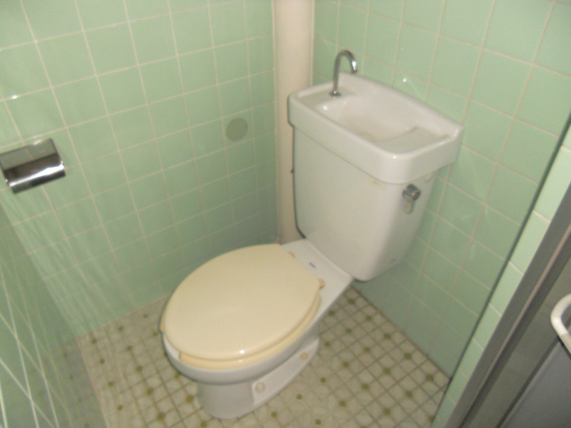 Toilet. It is an independent toilet