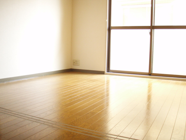 Living and room. Clean room