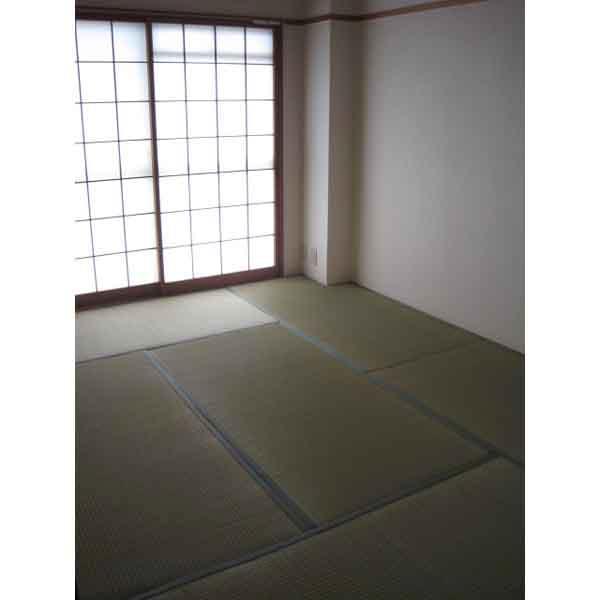 Other room space. Japanese style room