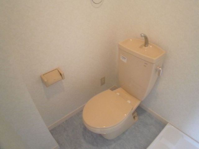 Toilet. Clean toilet