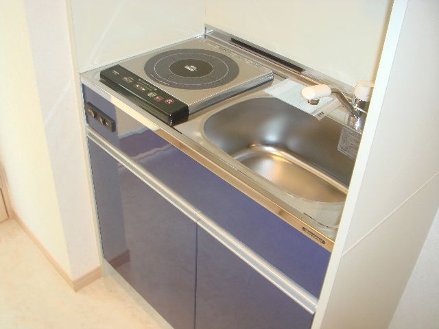 Kitchen. IH stove Installed