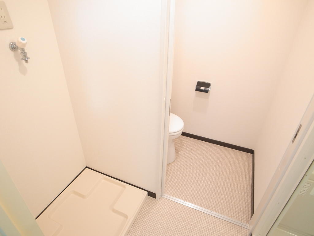 Washroom. Indoor Laundry Storage