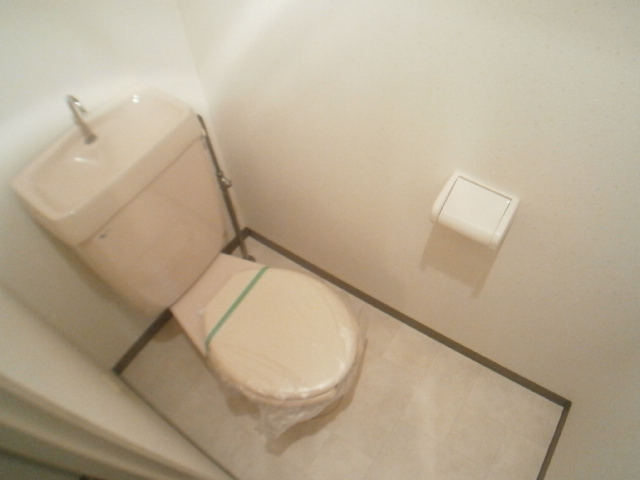 Toilet. Clean toilet