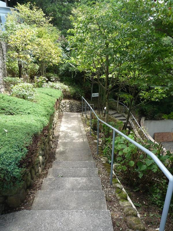 Other local. Lush alley