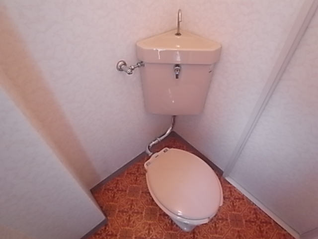 Toilet. Toilet
