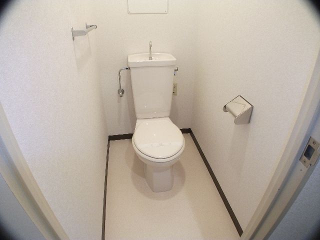 Toilet. Toilet