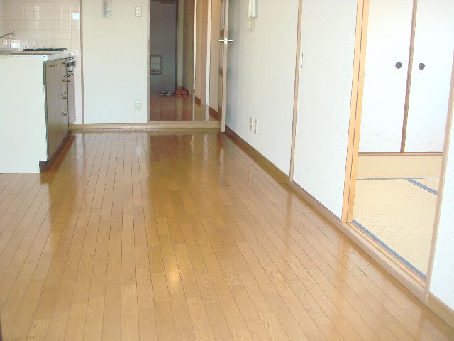 Living and room. Bright living space facing the south