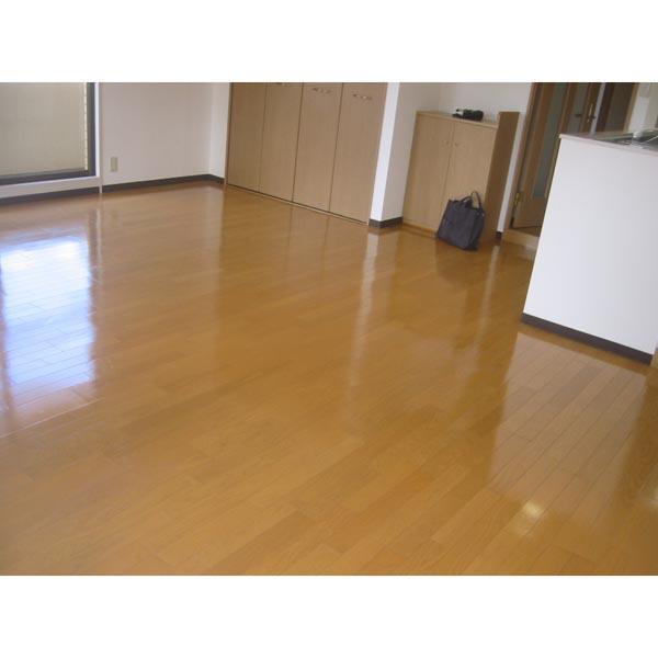 Living and room. Living