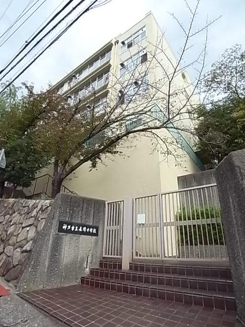 Other local. Junior high school