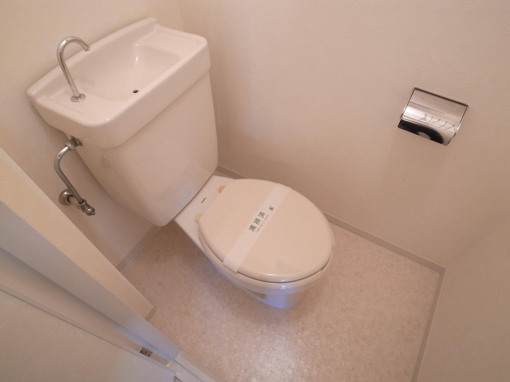 Toilet. Hiroi toilet