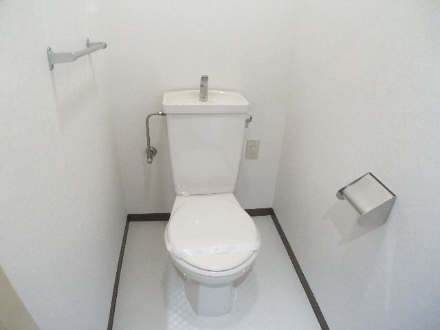 Toilet. Toilet