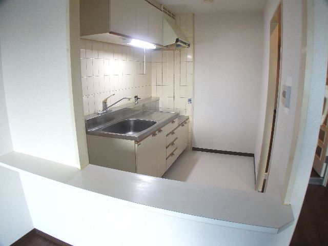 Kitchen. Kitchen counter