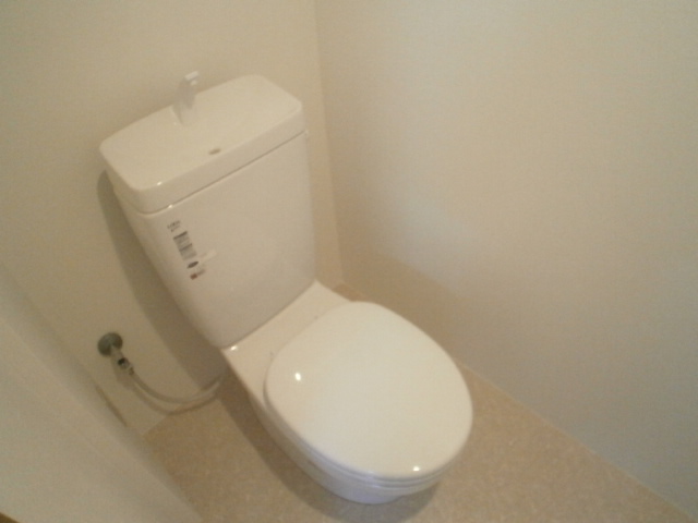 Toilet. Clean toilet