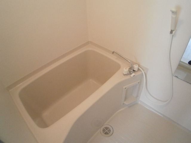 Bath. Bathroom to heal tired