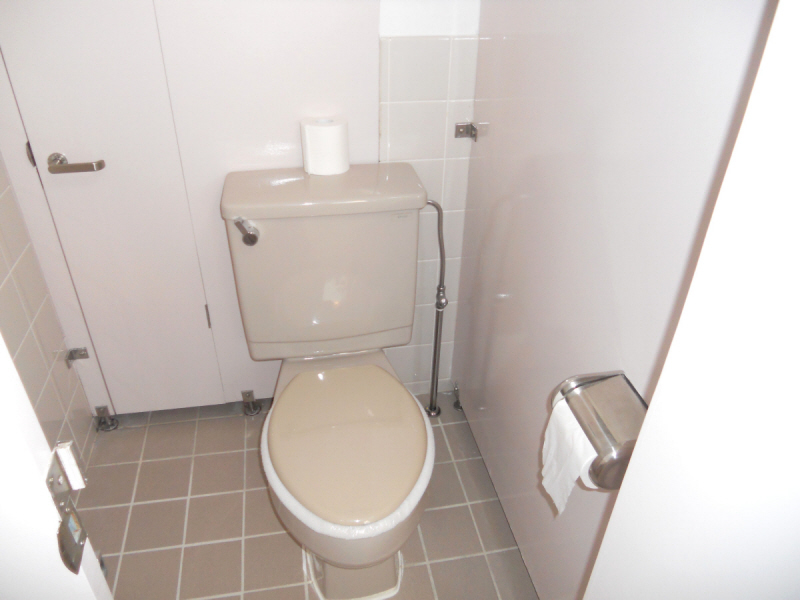 Toilet. It is a joint toilet