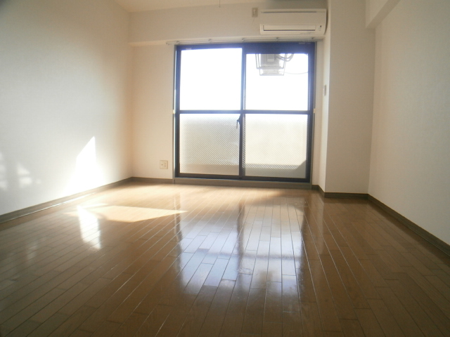 Living and room. South-facing bright Western-style