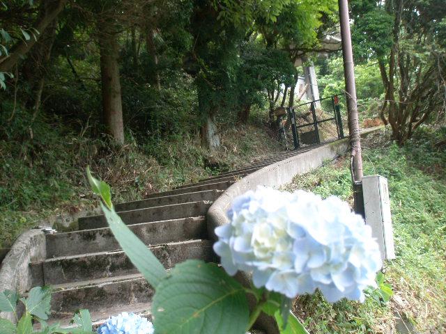 Other local. approach Sanso seems the approach.