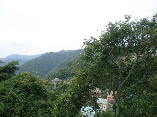 Other. Since it has separated from the other villa