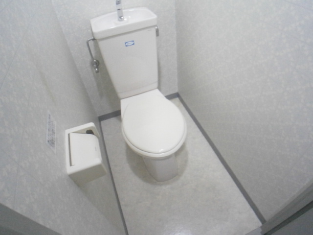 Toilet. Clean toilet