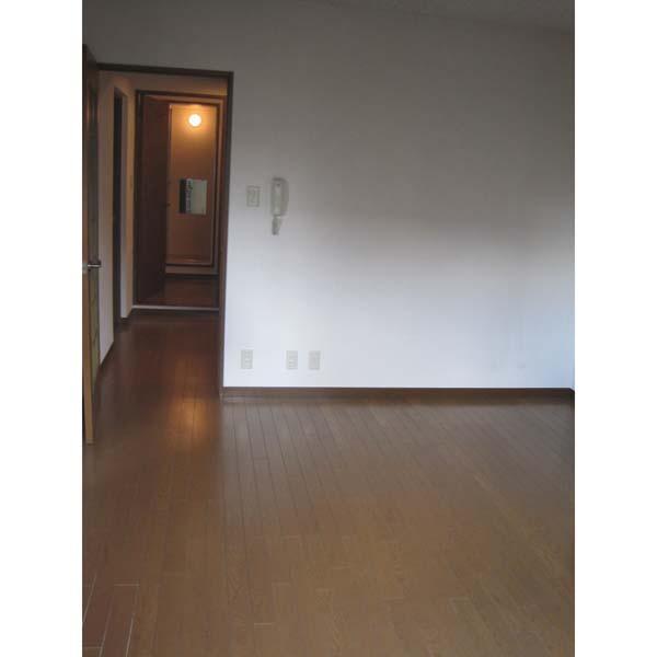 Living and room. Corridor