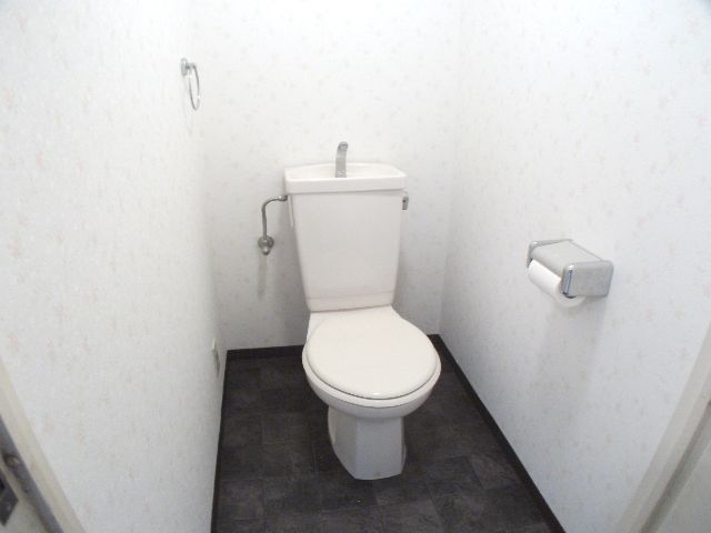 Toilet. Toilet