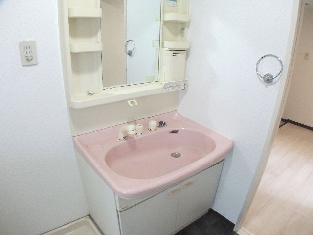 Washroom. Cute pink Shandore.