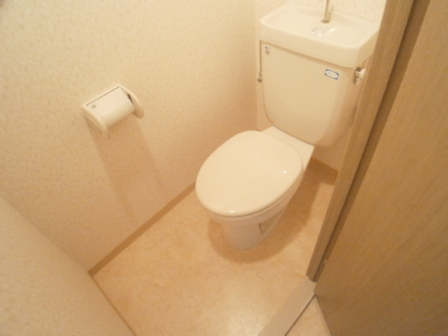 Toilet. Clean toilet