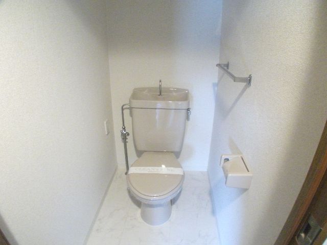 Toilet. Toilet