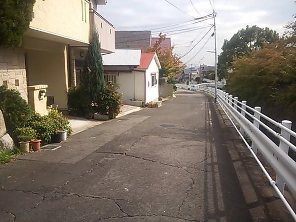 Local photos, including front road