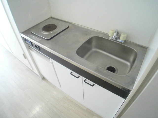 Kitchen. Refrigerator with a kitchen