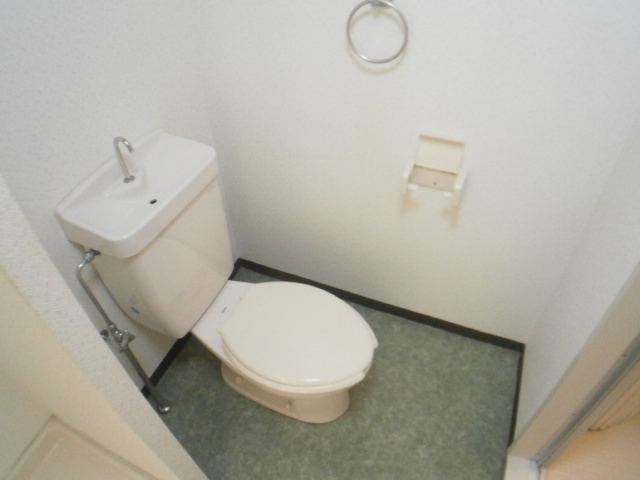 Toilet. Clean toilet