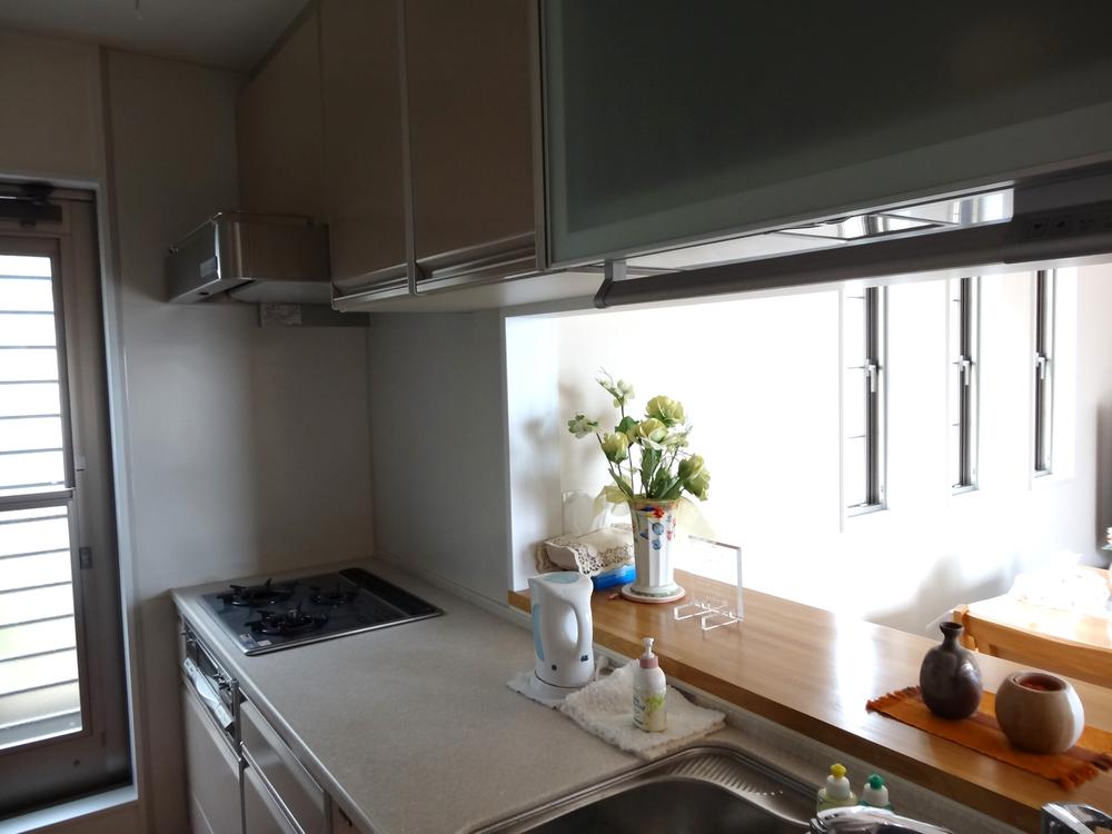 Kitchen. Indoor (10 May 2013) Shooting