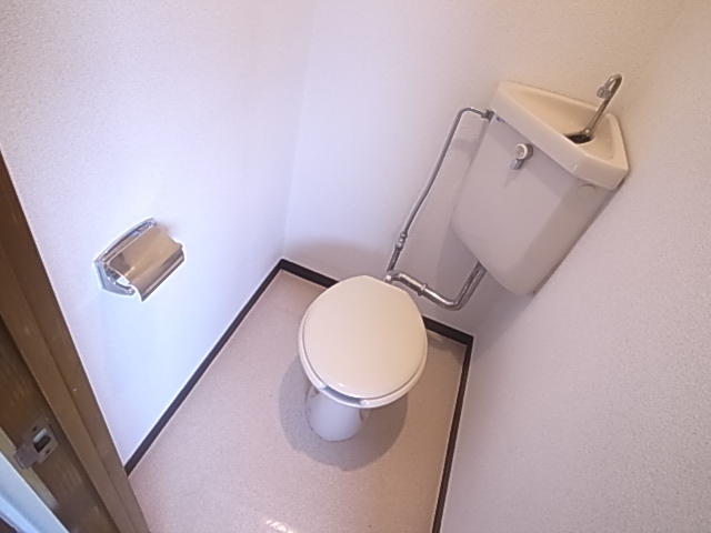 Toilet. Western-style toilet!