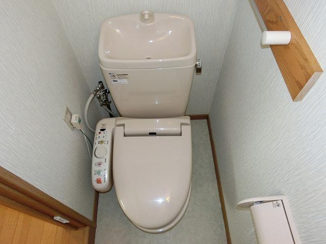 Toilet. Room (August 2013) Shooting