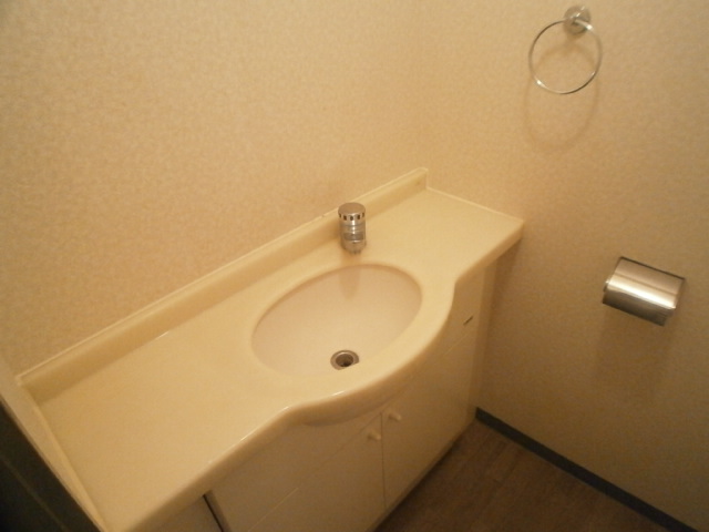 Washroom. Wash basin