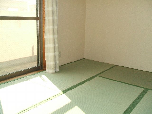 Other room space. Japanese-style room.