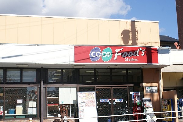 Supermarket. 300m to the Co-op (super)