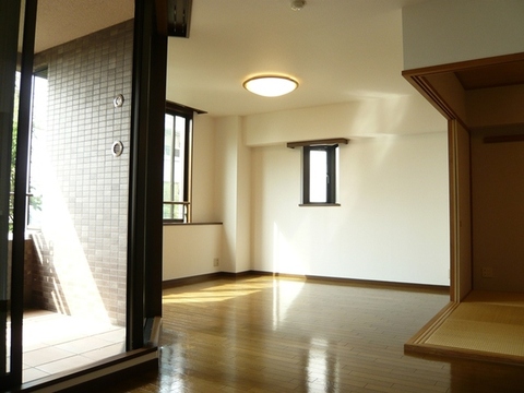 Living and room. Living