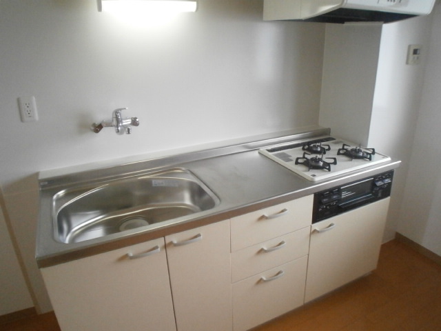 Kitchen. System Gasukitchin Installed