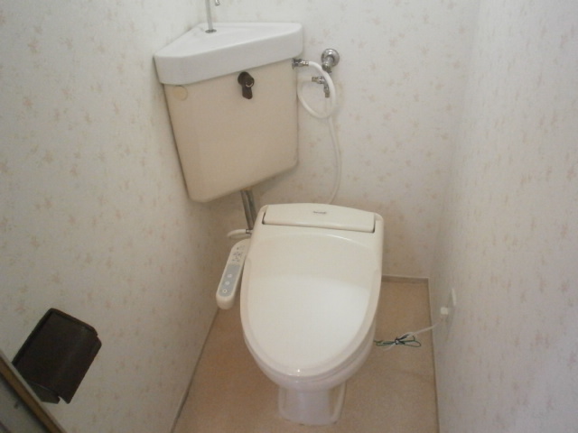 Toilet. Clean toilet