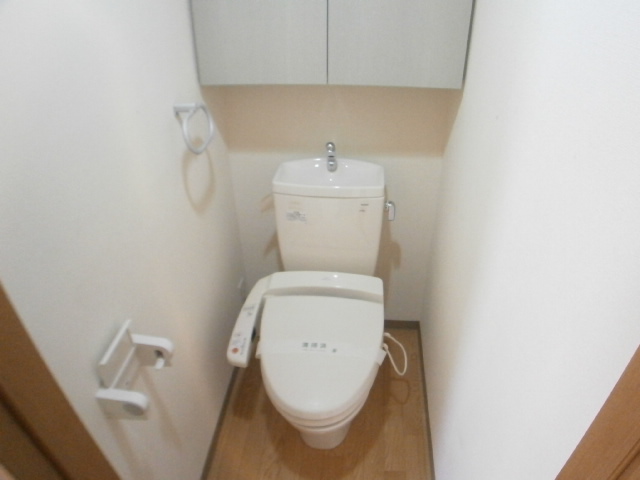 Toilet. Clean toilet